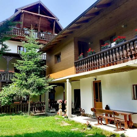 Pensiunea Perla Maramuresului Borşa 외부 사진