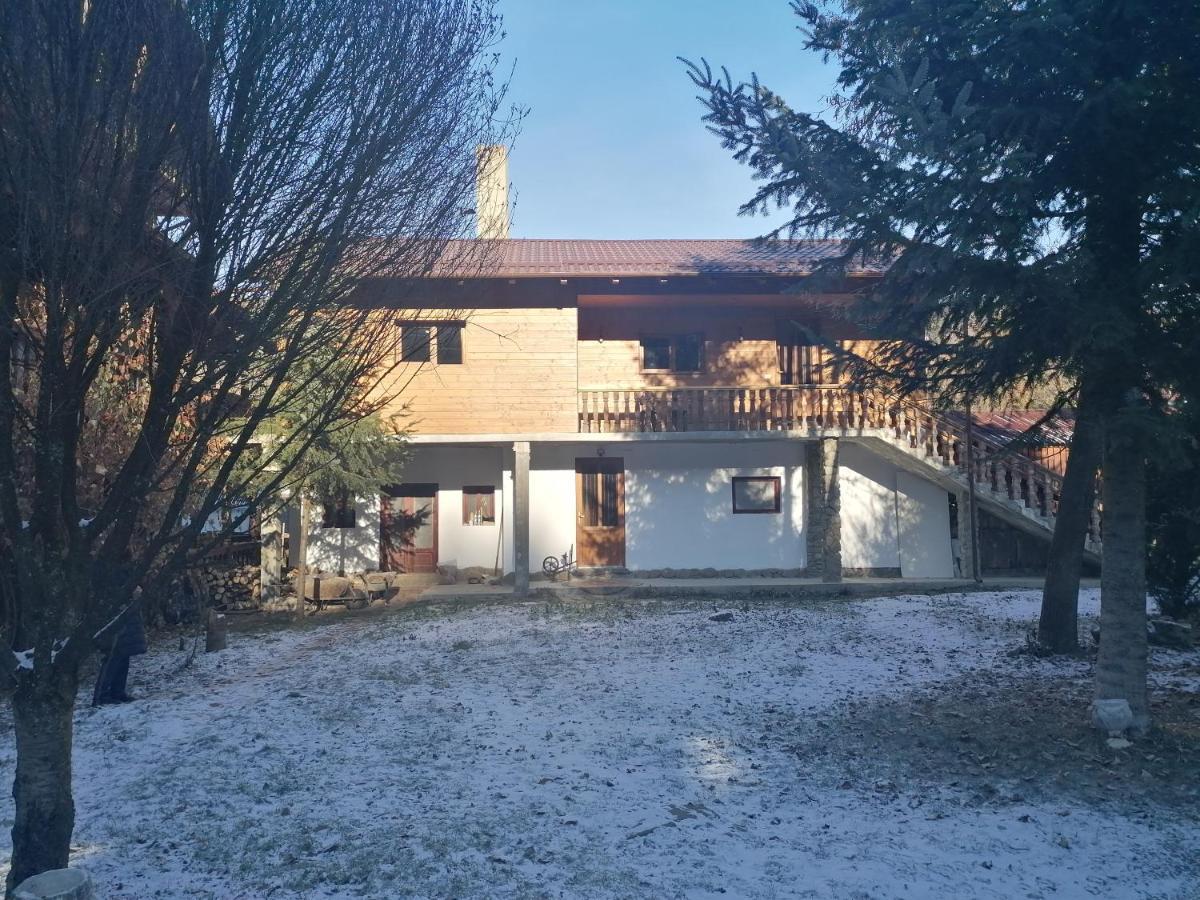 Pensiunea Perla Maramuresului Borşa 외부 사진