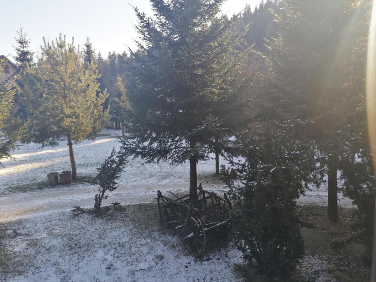 Pensiunea Perla Maramuresului Borşa 외부 사진