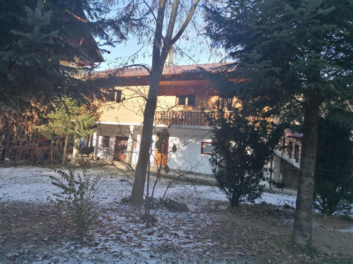 Pensiunea Perla Maramuresului Borşa 외부 사진