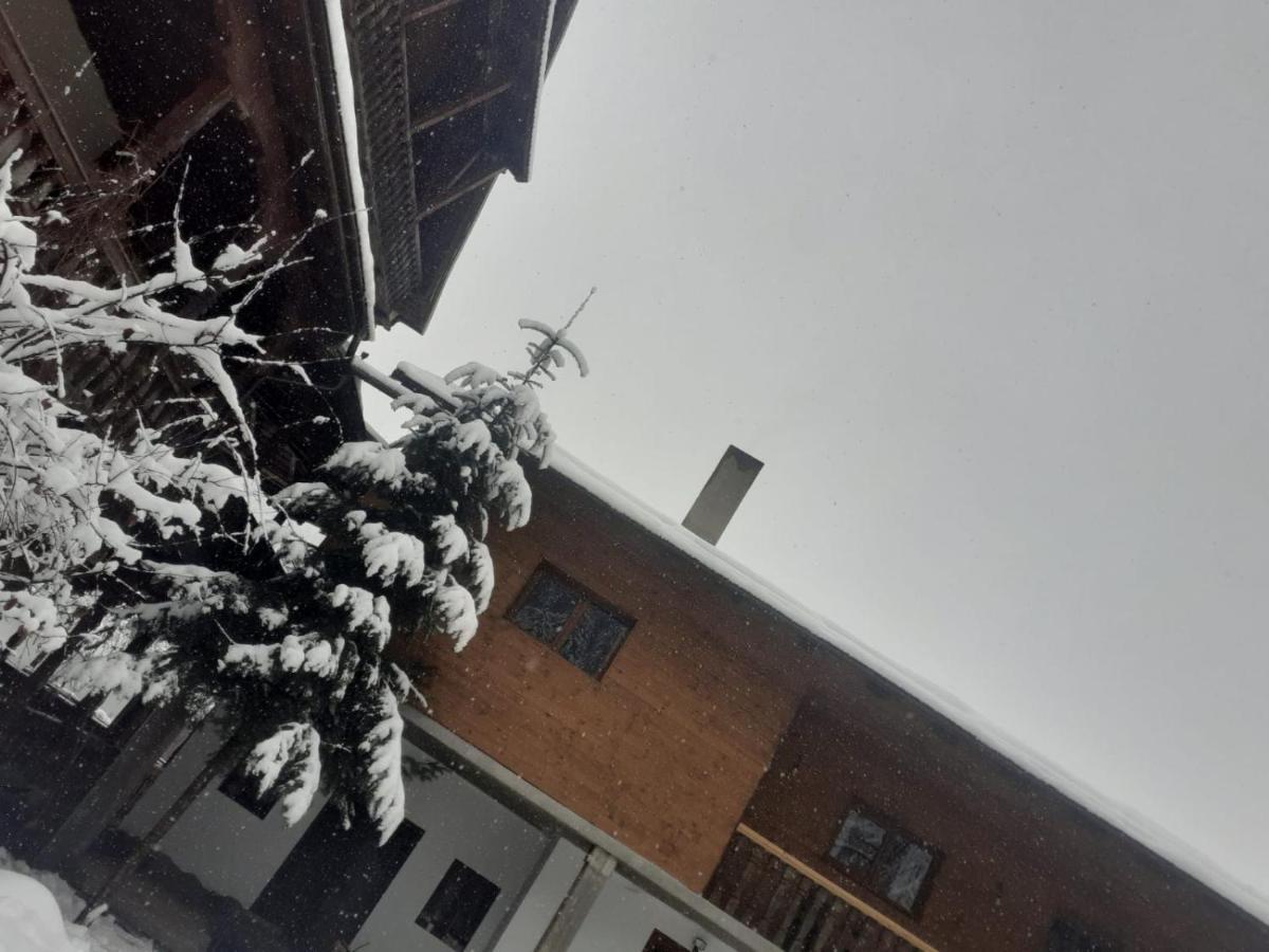 Pensiunea Perla Maramuresului Borşa 외부 사진