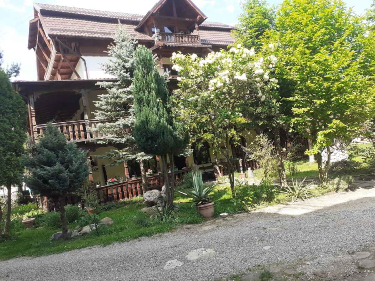 Pensiunea Perla Maramuresului Borşa 외부 사진