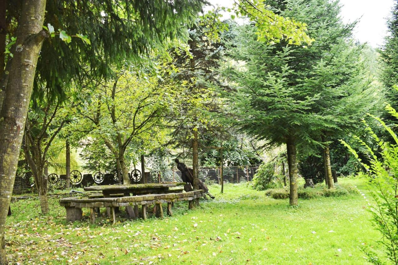 Pensiunea Perla Maramuresului Borşa 외부 사진