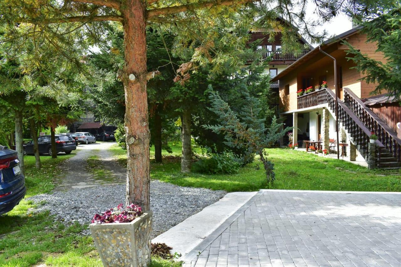 Pensiunea Perla Maramuresului Borşa 외부 사진