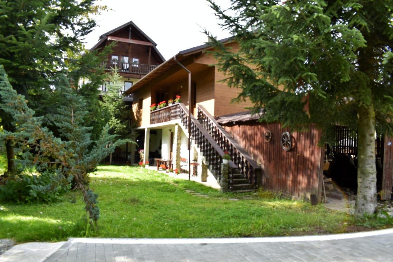 Pensiunea Perla Maramuresului Borşa 외부 사진